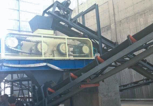 强力辊式破碎机客户现场实拍3