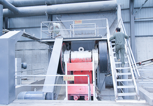 PE/PEX颚式破碎机客户现场实拍3